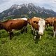 Leogang-Kolb-1261