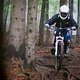 IMG 0484