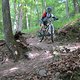 IMG 2113