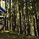 Biking is awesome