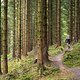 Bikepark Wales - XC Climb