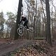 IMG 1488