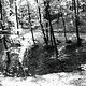 DSC02940