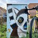 Fahrradtour