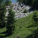 DSC09450