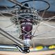 Serotta ATi 20250108 06