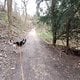 Cardio Gassirunde, Rheinsteig