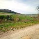 250412 fot Kirsche-03