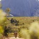 Riders during Stage 3 of the 2025 Absa Cape Epic Mountain Bike stage race held at Fairview, Paarl, Cape Town, South Africa on the 19th March 2025. Photo by Sam Clark/Cape Epic
PLEASE ENSURE THE APPROPRIATE CREDIT IS GIVEN TO THE PHOTOGRAPHER AND ABSA