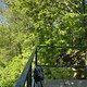 IMG 5766