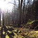 IMG 7320