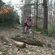 DSCF3153