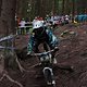 IMG 1337