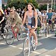 CriticalMass 1407 1538b