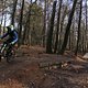 IMG 1791