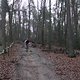 IMG 1259