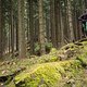 20170312-38L Drecksau Enduro