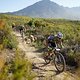 Speed Company Racing during Stage 1 of the 2024 Absa Cape Epic Mountain Bike stage race from Saronsberg Wine Estate to Saronsberg Wine Estate, Tulbagh, South Africa on the 18th March 2024. Photo by Nick Muzik/Cape Epic
PLEASE ENSURE THE APPROPRIATE C