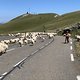 IMG 0414