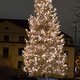 🚴🏻‍♂️ zum 2. Advent