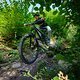 GRIN Z8B 6326 Foto Steffen Kirschner Viaframe sRGB HighRes