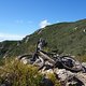 DSC09893