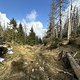 IMG 2658
