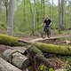 FranztrailSkinny1stride#3