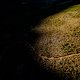 Licht und Schatten am Welvanpas Singletrail -Gary Perkin-Cape Epic-SPORTZPICS