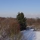 DSC01541