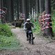 IMG 5575