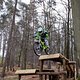 IMG 3419