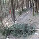 IMG 0973Large 1272301280