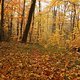 Herbst2K10Bild149
