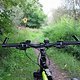 IMG 1184
