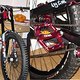 IMG 3597