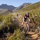 Abraao Azevedo and Bart Brentjens during the final stage (stage 7) of the 2019 Absa Cape Epic Mountain Bike stage race from the University of Stellenbosch Sports Fields in Stellenbosch to Val de Vie Estate in Paarl, South Africa on the 24th March 201