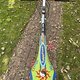 IMG 3119