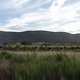 Riders during Stage 4 of the 2025 Absa Cape Epic Mountain Bike stage race held at Fairview, Paarl, Cape Town, South Africa on the 20th March 2025. Photo by Nick Muzik/Cape Epic
PLEASE ENSURE THE APPROPRIATE CREDIT IS GIVEN TO THE PHOTOGRAPHER AND ABS