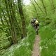 130509 Eltzbachtal16