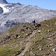 IMG 2695