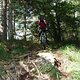 RIMG0141