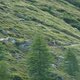Zermatt 2011 52