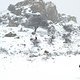 Let it snow. Snow at Crete at 400m.