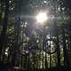 sun in the head