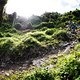 Die Anstiege in Nelson sind zwar sehr steil und mühsam, die Abfahren machen aber einfach ...