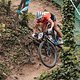 20210410 nalles-06703