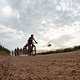 André Filipe of team Eat Sleep Ride Repeat leads the bunch during stage 4 of the 2021 Absa Cape Epic Mountain Bike stage race from Saronsberg in Tulbagh to CPUT in Wellington, South Africa on the 21th October 2021

Photo by Nick Muzik/Cape Epic

PLEA