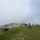 IMG 8565