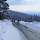 IMG 2737